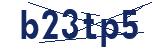 Security code to enter in the adjacent field