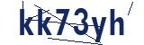 Security code to enter in the adjacent field